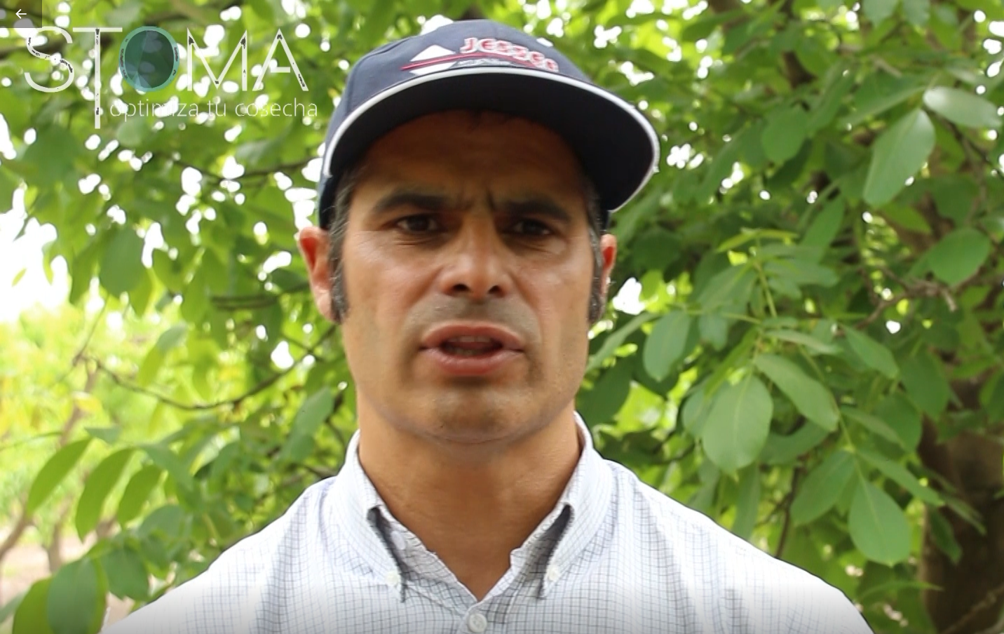 Captura-de-pantalla-3