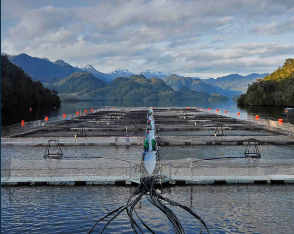 Captura-de-pantalla-810