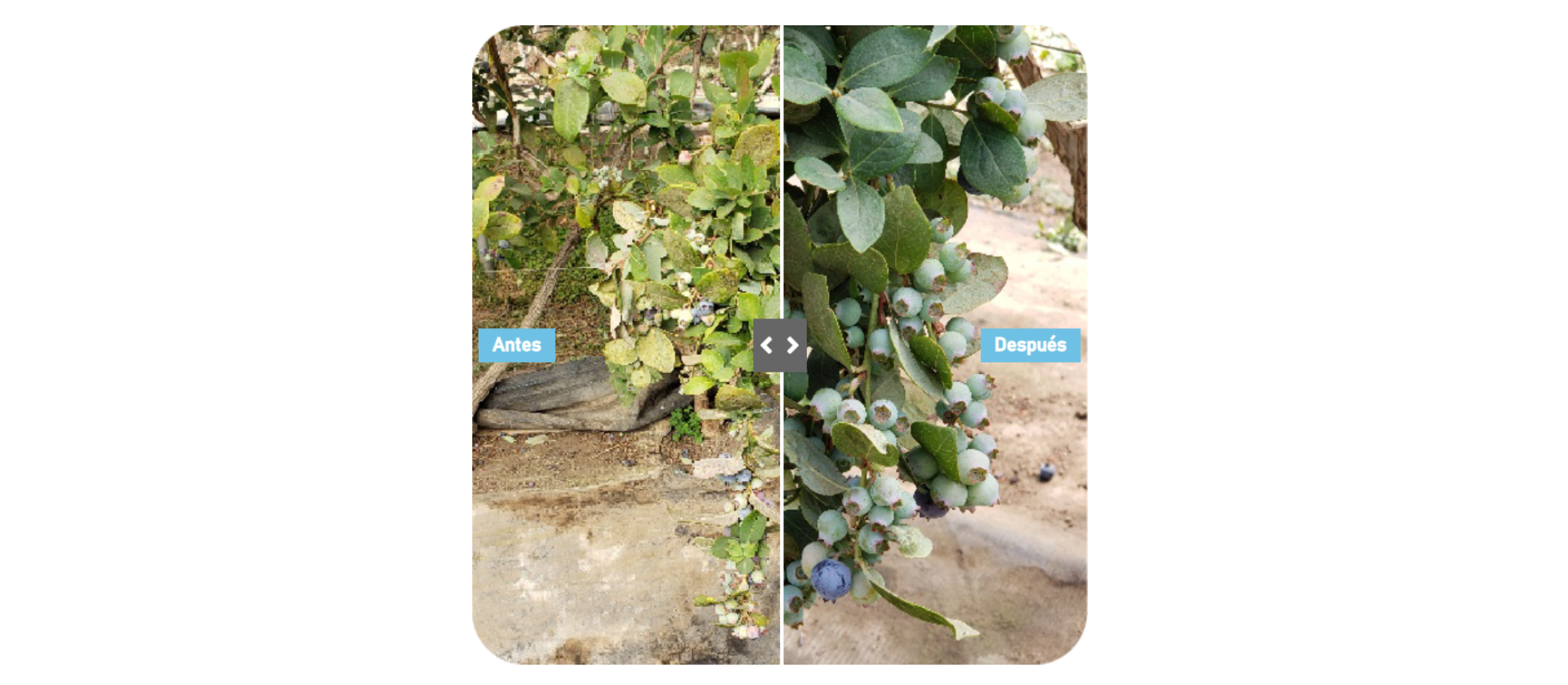 Captura-de-pantalla-983