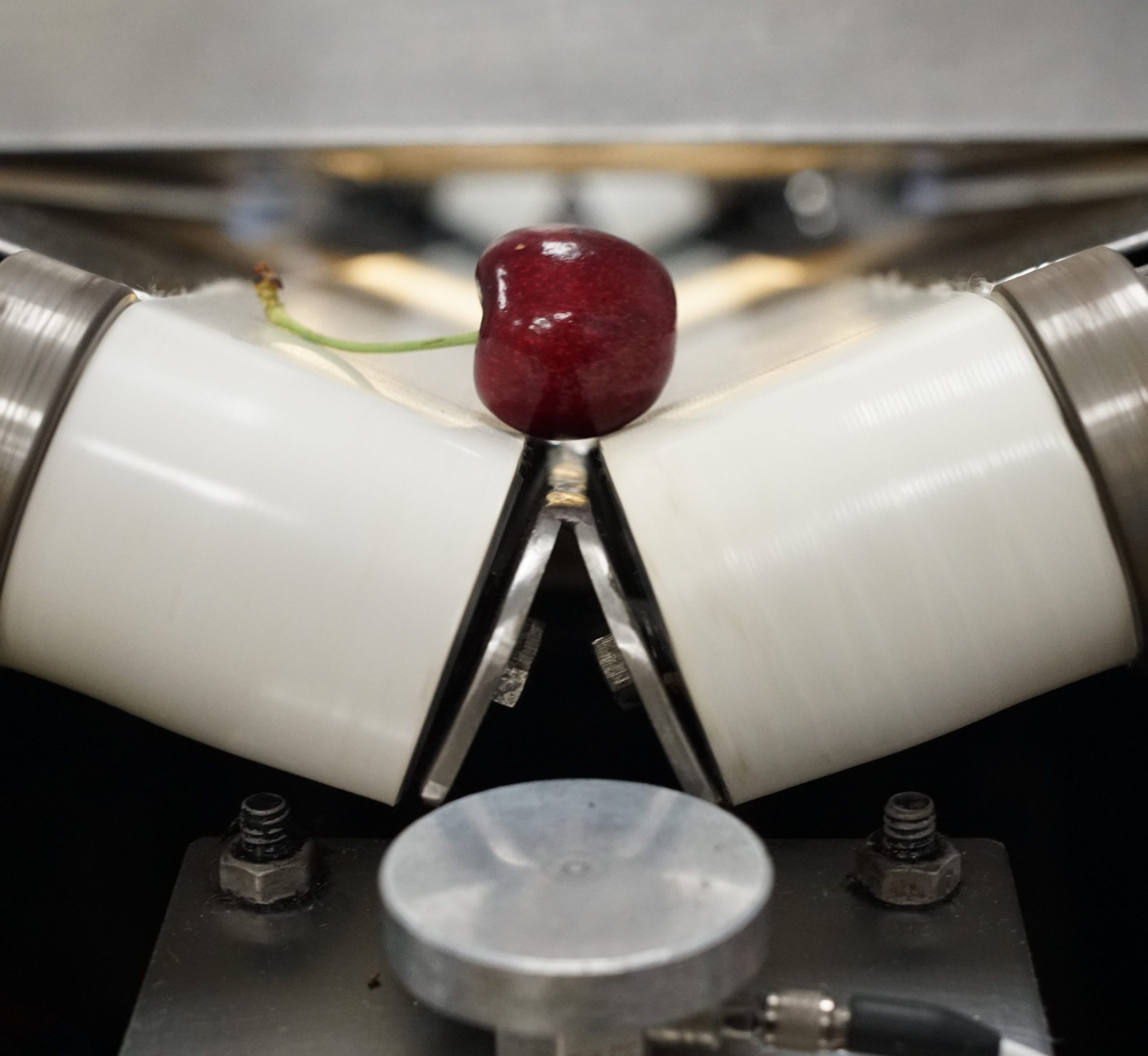 DSC00505-1-e1548943308623