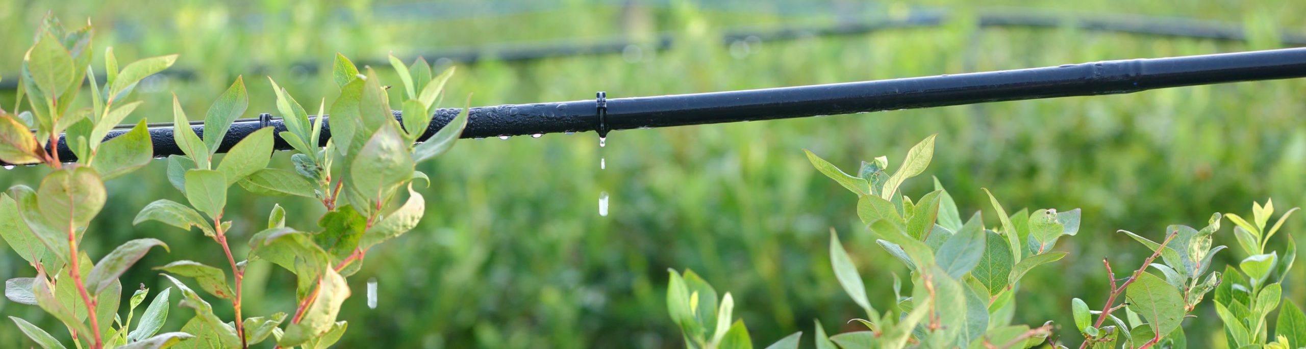 FOTO3_1120X300px_Mesa-de-trabajo-1chico