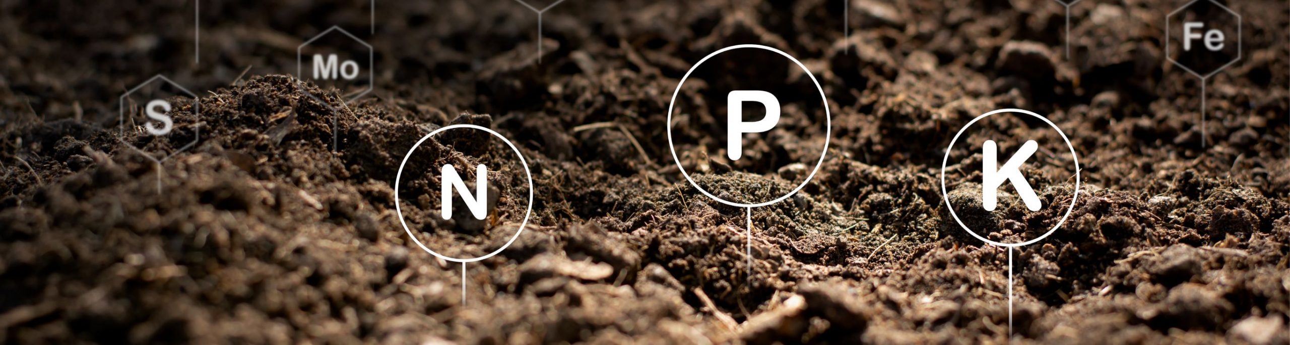 FOTO3_1120X300pxchico