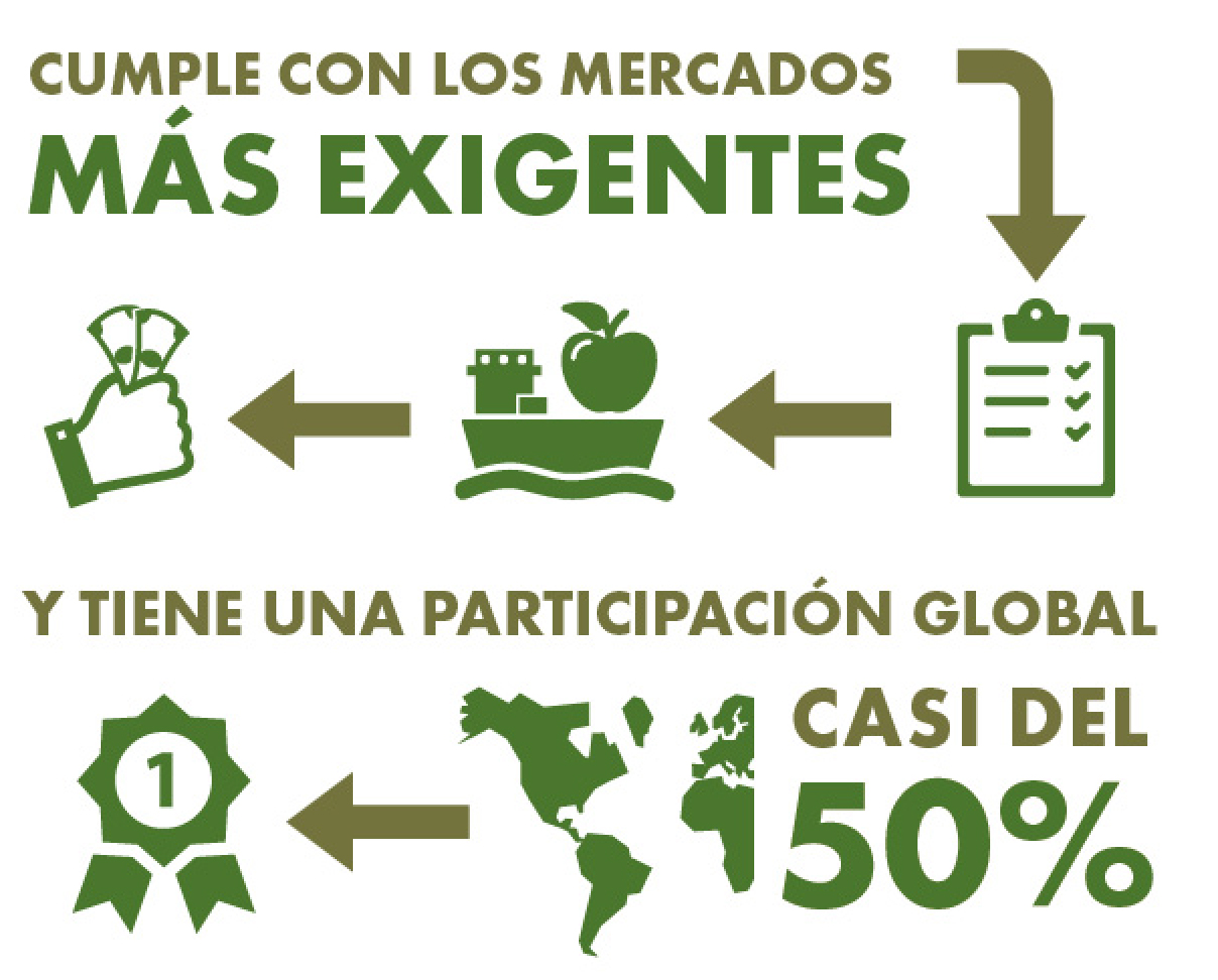 281015_Volante_carta_K_PlusII-01