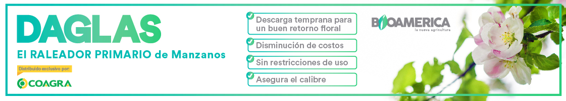 Mini-banner-Daglas-interno-pc-1120×200-px