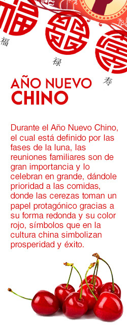 WhatsApp-Image-2019-10-08-at-12.35.39