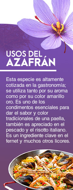 WhatsApp-Image-2019-10-08-at-13.49.50