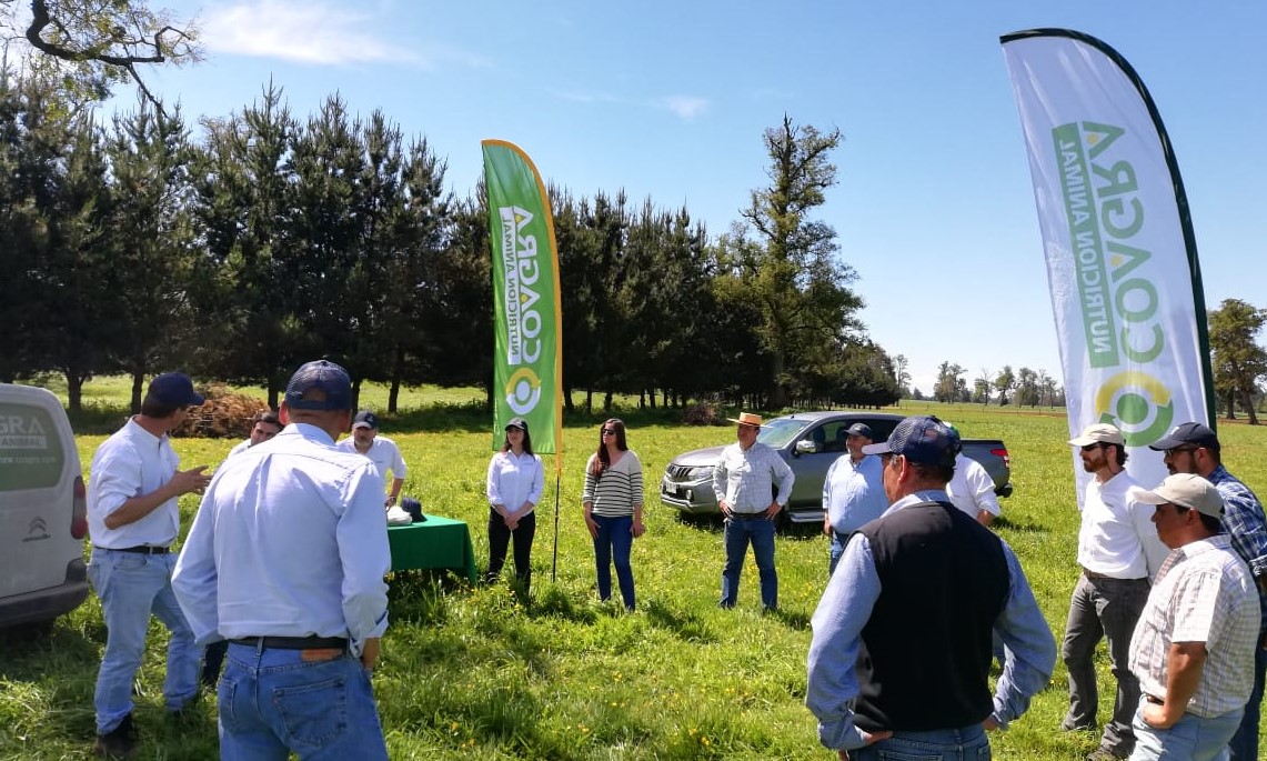 WhatsApp-Image-2019-11-12-at-22.46.15-12