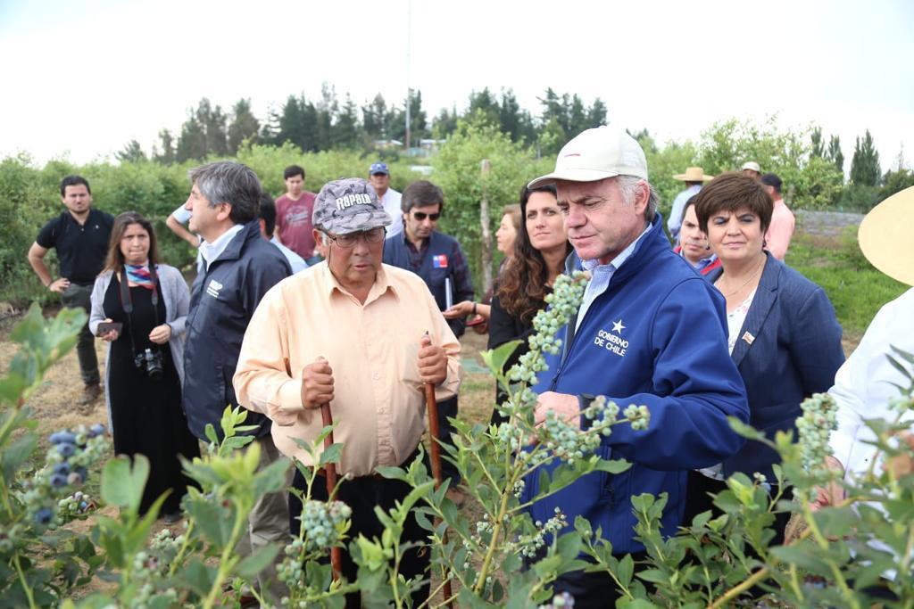 WhatsApp-Image-2019-11-28-at-10.10.04