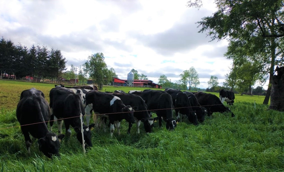 WhatsApp-Image-2020-11-09-at-15.59.30