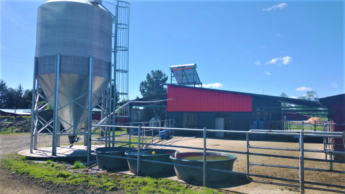 WhatsApp-Image-2020-11-09-at-16.01.58