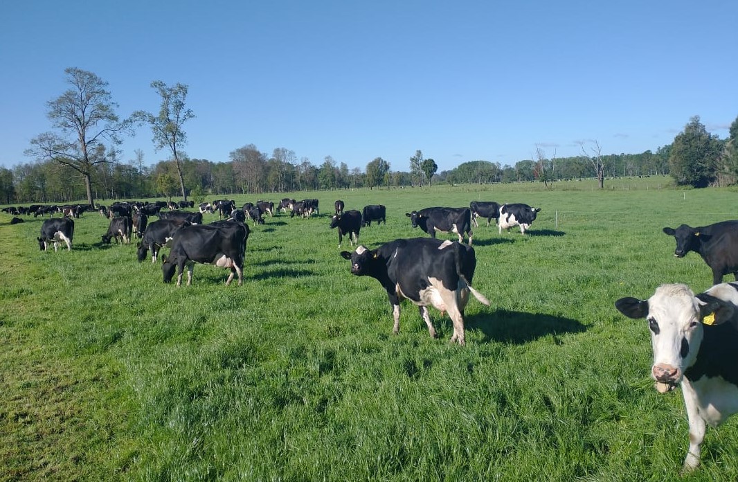 WhatsApp-Image-2020-11-09-at-17.59.07