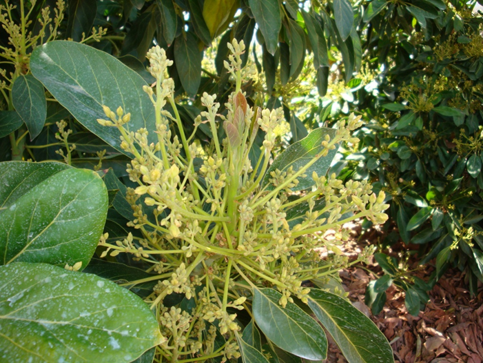 imagen-1-reportaje-anasac