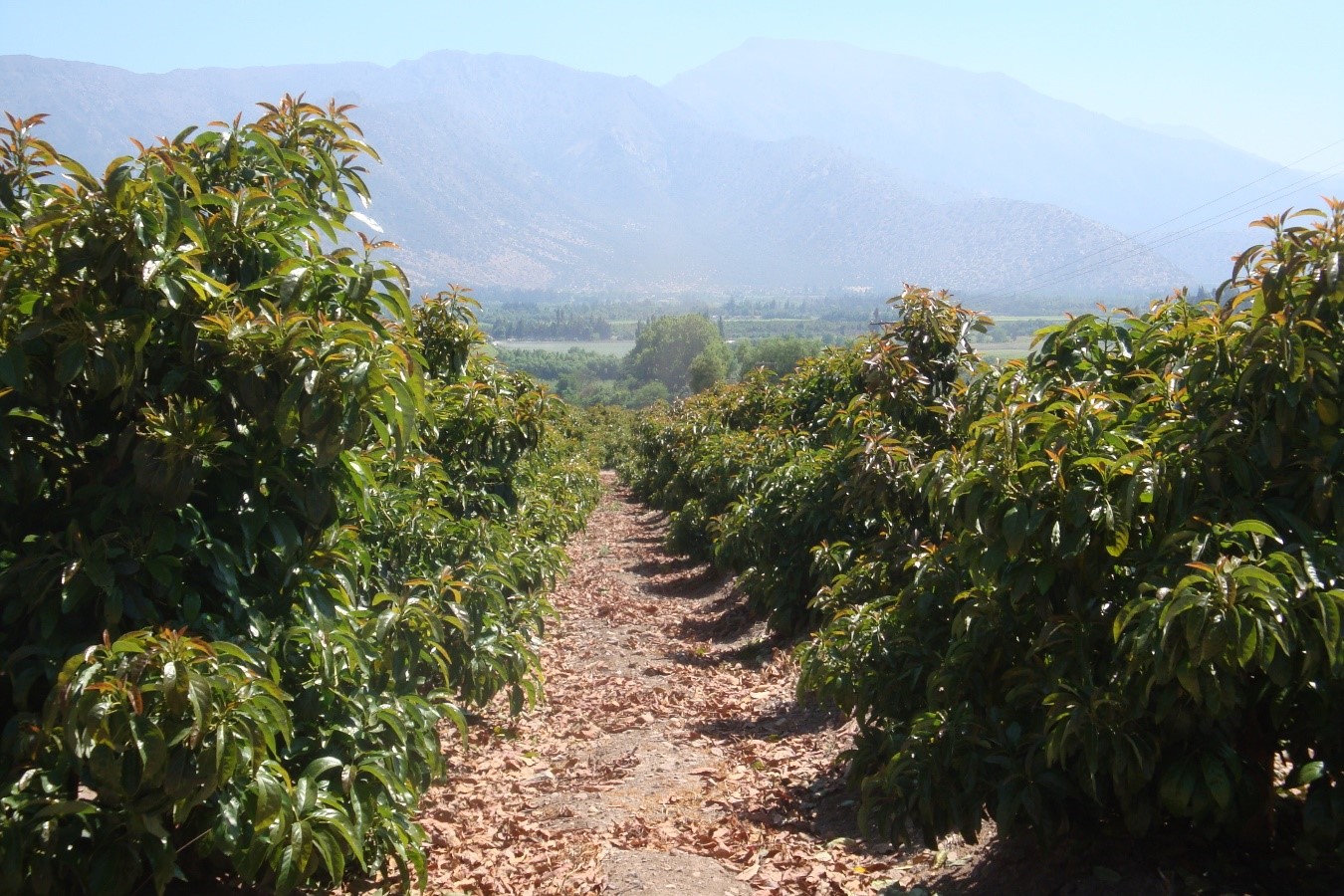 imagen-2-reportaje-anasac (1)