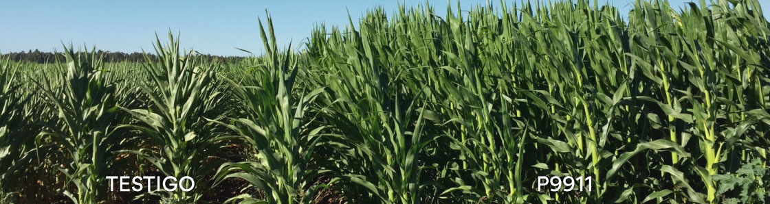 imagen-interna-1120-x-298