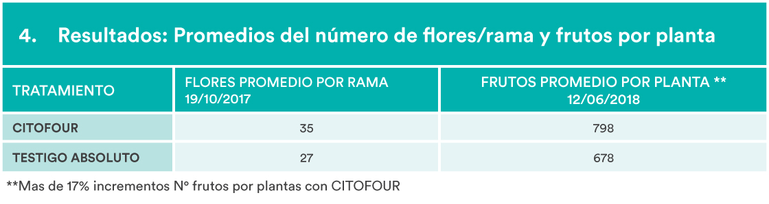 tablas-mandarina-murcott-pc4-4