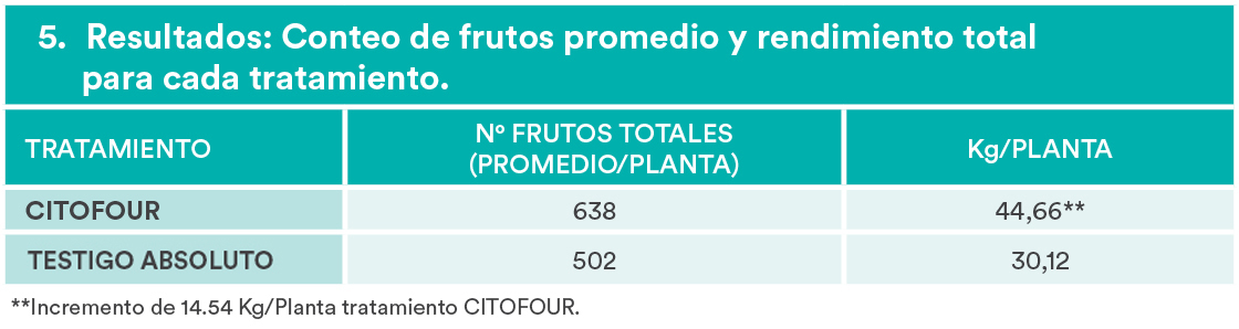 tablas-mandarina-tango-pc5-2