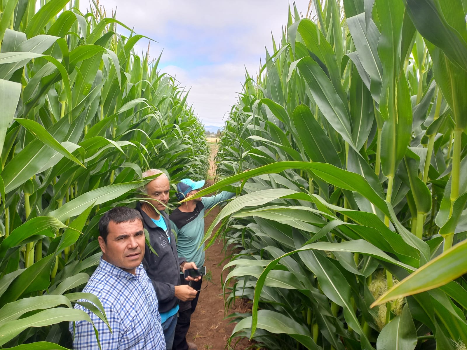 WhatsApp Image 2022-01-17 at 16.34.15