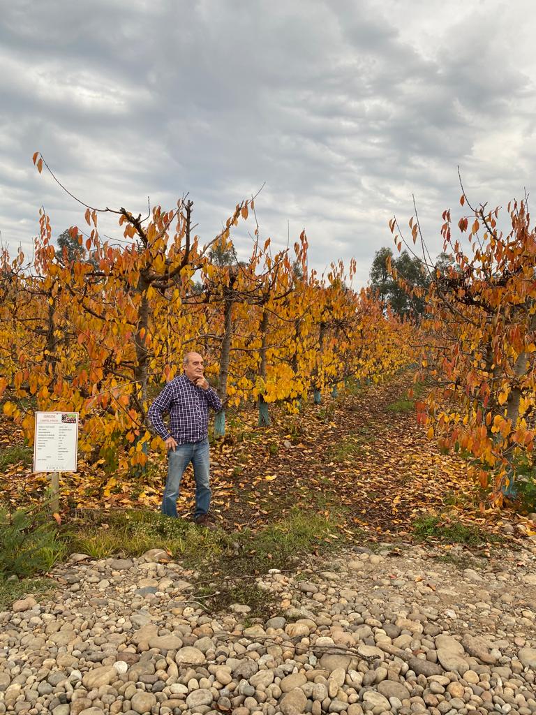 Roberto Montalva (1)