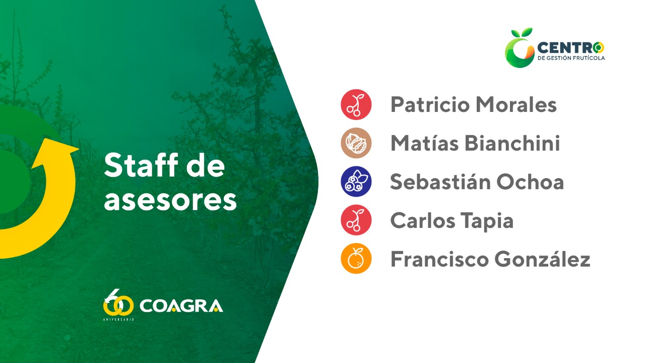 WhatsApp Image 2023-01-18 at 14.09.09 (1)