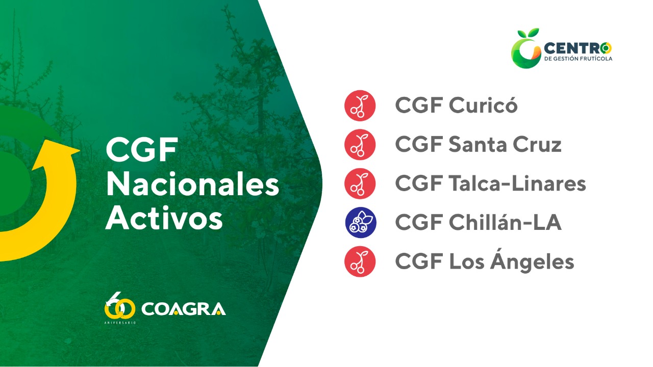 WhatsApp Image 2023-01-18 at 14.09.09