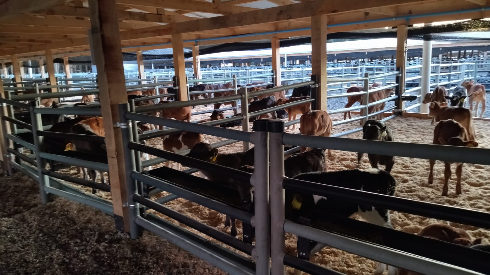 WhatsApp Image 2023-10-30 at 09.21.49 (2)